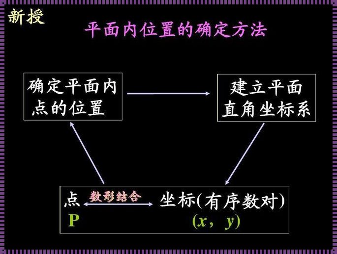 平面直角坐标系建系原则：探寻数学背后的奥秘