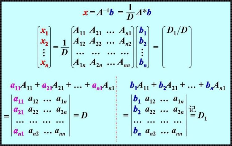 线性方程组用行列式求解：揭秘