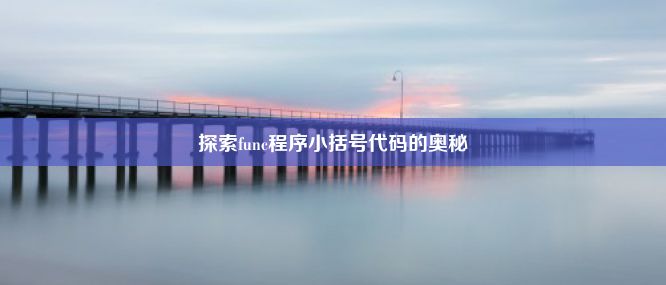 探索func程序小括号代码的奥秘