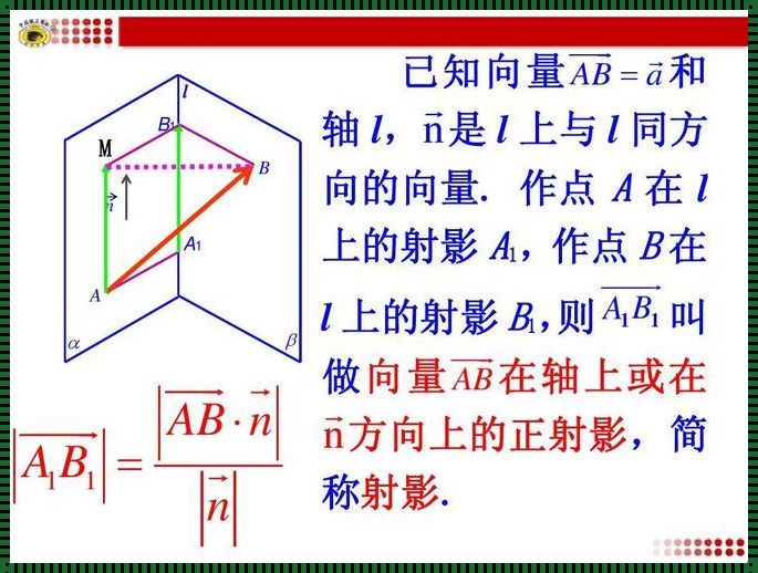 向量空间封闭是什么意思