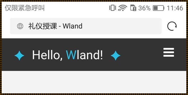 探究“你好wland最新登录入口”：揭秘与解读