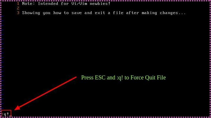 探讨vi退出命令的奥秘：一种深植人心的文本编辑体验