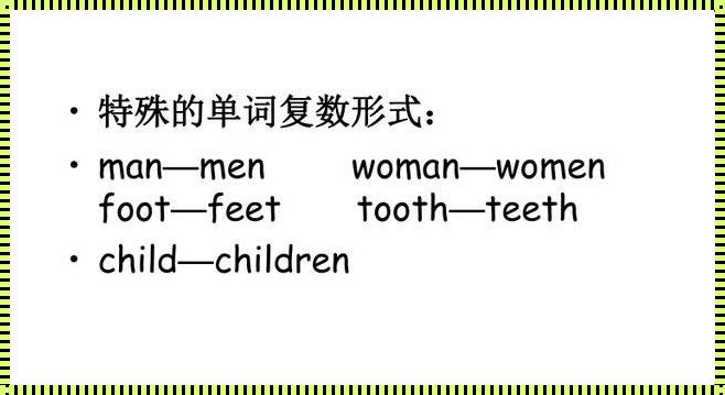 探讨schedule的复数形式及其在时间管理中的应用