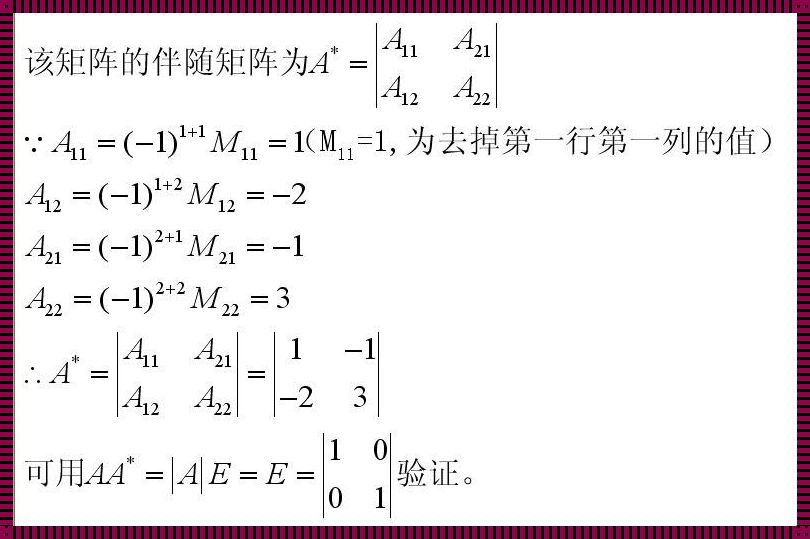 行列式余子式：解构与感悟