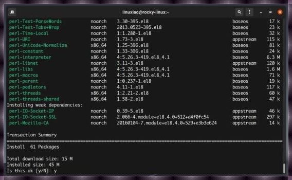 Nginx：探索卓越的Web服务器与反向代理