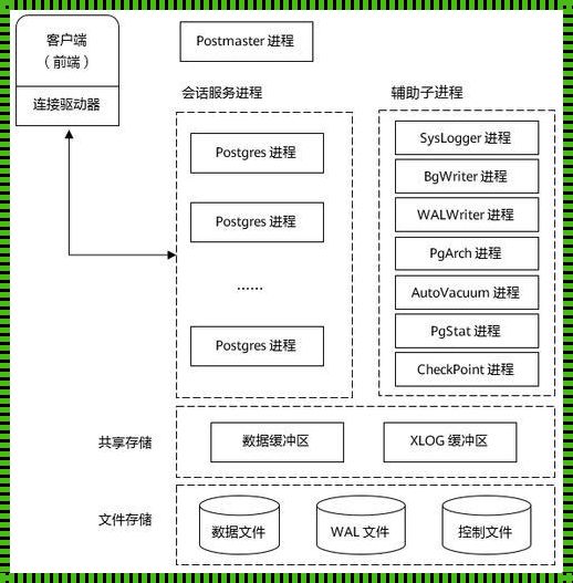 网站的数据库怎么搭建