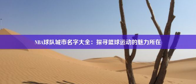 NBA球队城市名字大全：探寻篮球运动的魅力所在