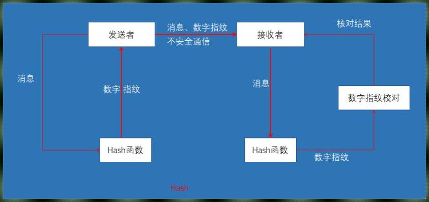 揭秘MD5加解密：探索神秘面纱下的真相