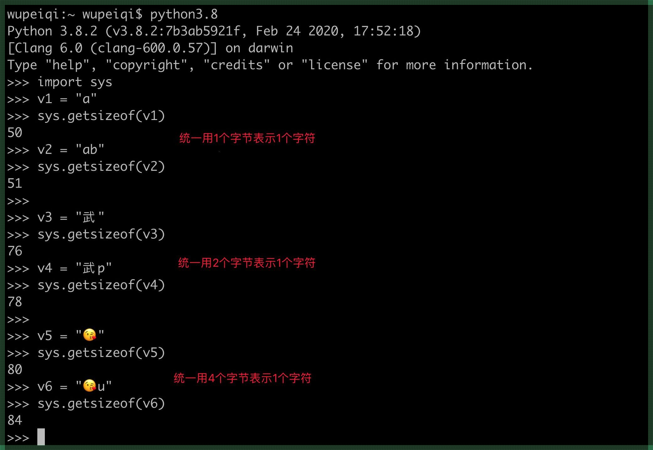 Python中Float的用法：探索编程世界的数字奥秘