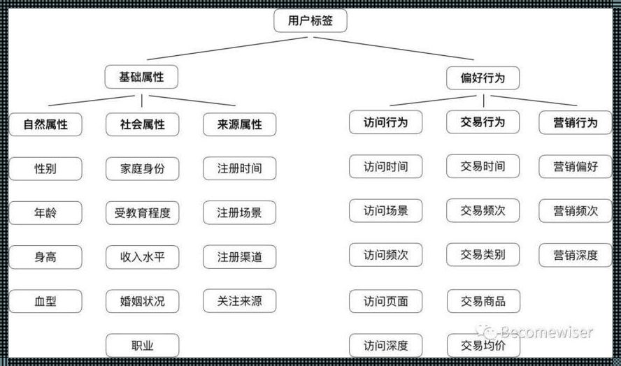 用户画像标签体系：揭秘个性化营销的秘籍