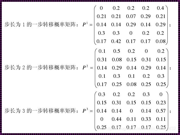 探索马尔可夫链：概率计算的艺术