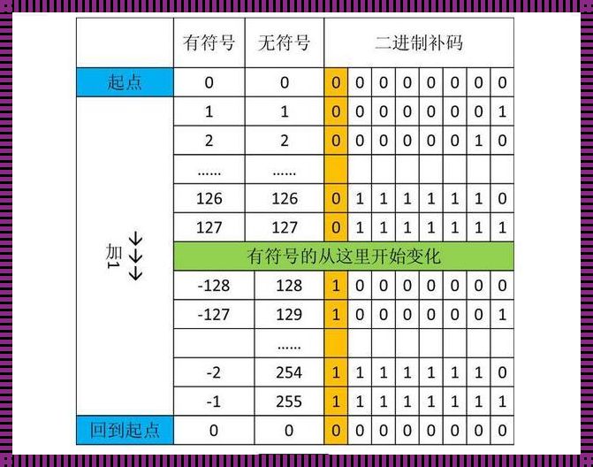 补码转化为十进制：深入解析与情感之旅