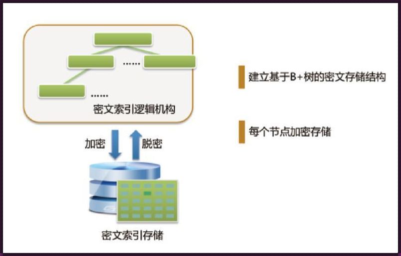 数据库加密的常用方法：让数据安全如磐石