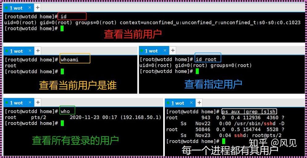 Linux系统中查看用户的方法及深入解读