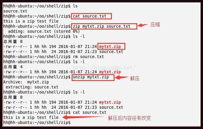 Linux解压缩ZIP文件到目录的探秘之旅