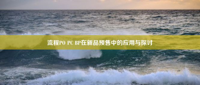 流程PO PC BP在新品预售中的应用与探讨