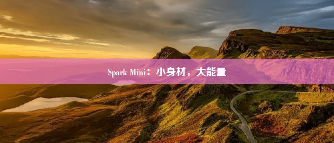 Spark Mini：小身材，大能量