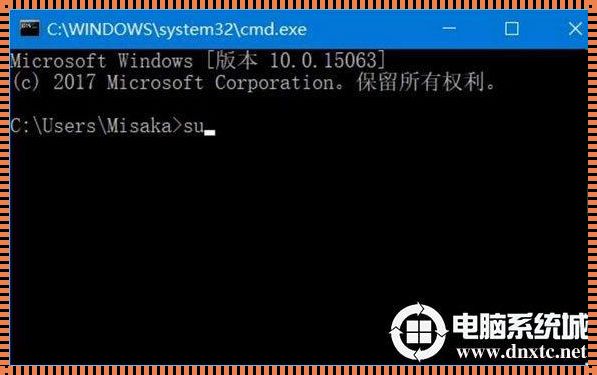 深入解析：Windows系统中以管理员身份运行命令的探讨