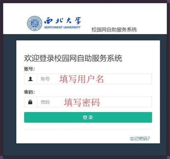 校园网自助服务系统官网：打造智慧校园新纪元