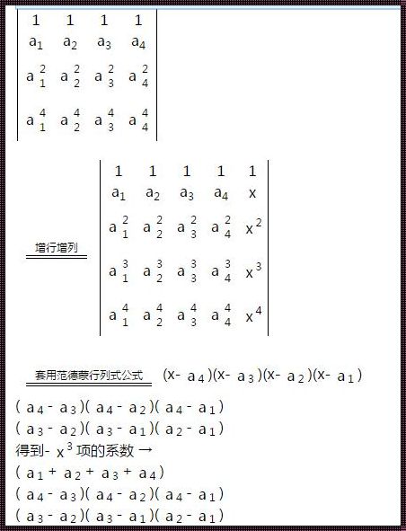 行列式提一个数怎么提：创新玩法的探索