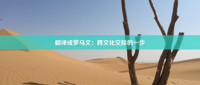 翻译成罗马文：跨文化交际的一步