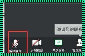 腾讯会议的静音是什么意思