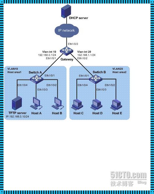 网络管理ARP：一张隐形的神经网络