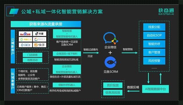 AI智能营销系统：博朗，未来的营销利器