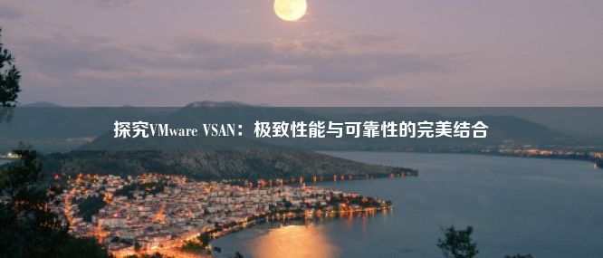 探究VMware VSAN：极致性能与可靠性的完美结合