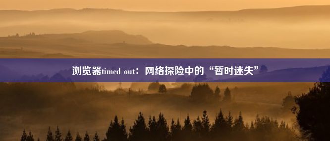 浏览器timed out：网络探险中的“暂时迷失”