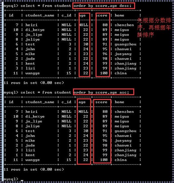 数据库降序语句：探索正能量的奥秘