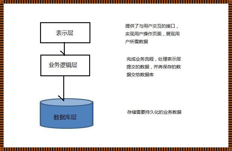 业务层和持久层：深入解析与探索