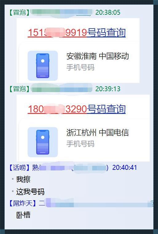 手机号泄露查询网站：揭秘个人信息安全的隐忧