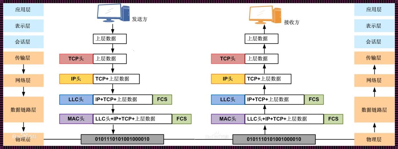 OSL七层模型：从低到高的探索