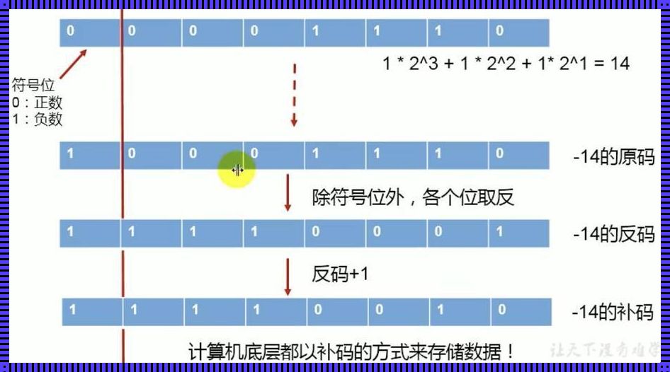 BYTE是什么类型——深入解析计算机数据类型