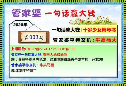 金多宝论坛资料精准24号：揭秘神秘背后的故事