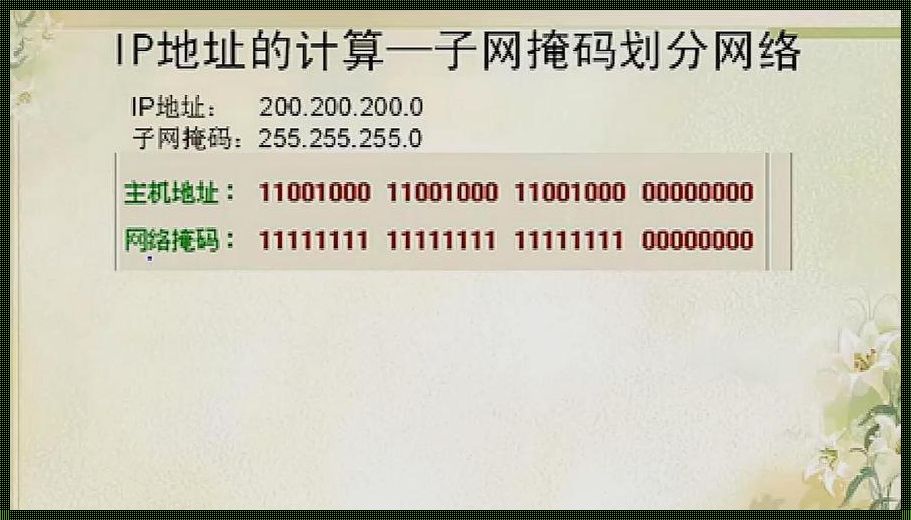 怎么求子网掩码地址