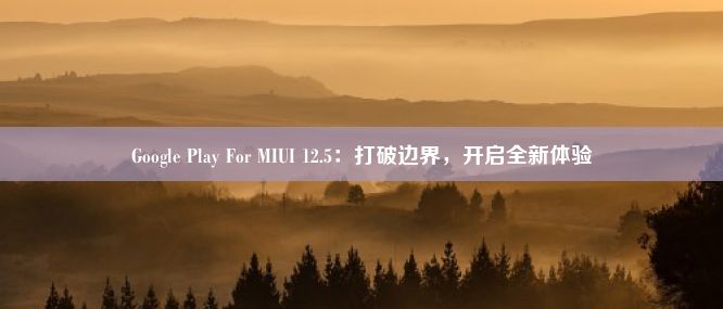 Google Play For MIUI 12.5：打破边界，开启全新体验