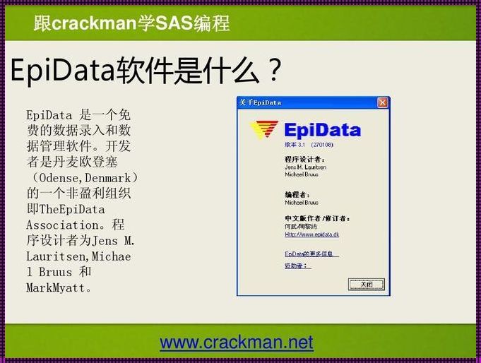 Epidata记录删除指南：简洁、安全、高效