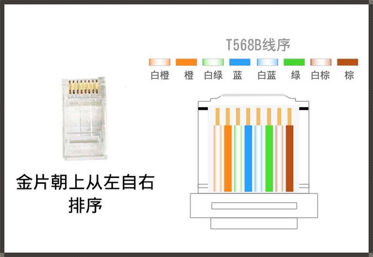 正确的网线的顺序图：揭秘网络世界的“神经”