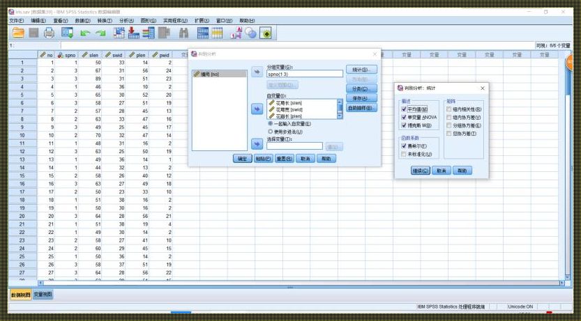 SPSS的基本运行方式：探索与解析