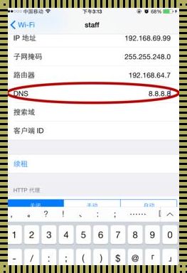 DNS改成114.114.114和8.8.8.8：揭秘网络世界的“神秘面纱”