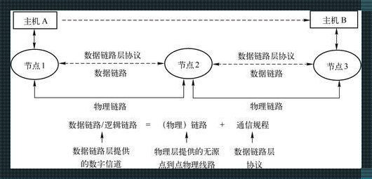 数据链路层传输的数据单位是什么