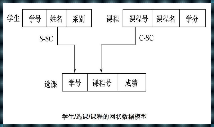 关系模型中一个码是：深入解析与掌握