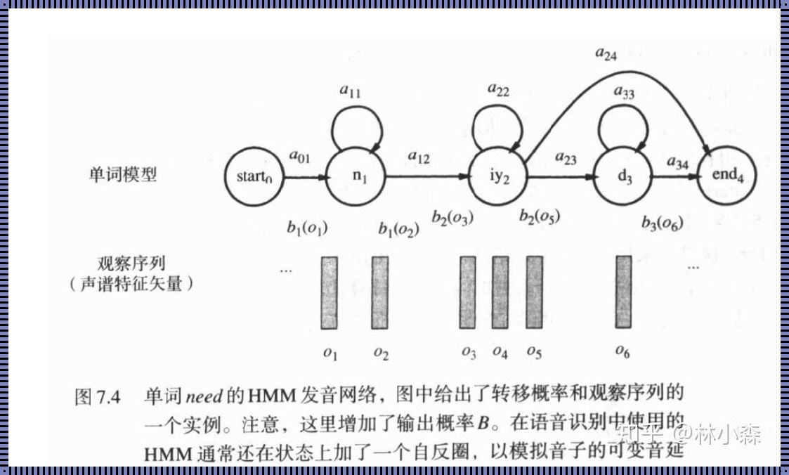 探索加权马尔可夫模型的奥妙：分享与发现