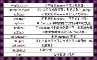 lfit命令揭秘：探索与创新