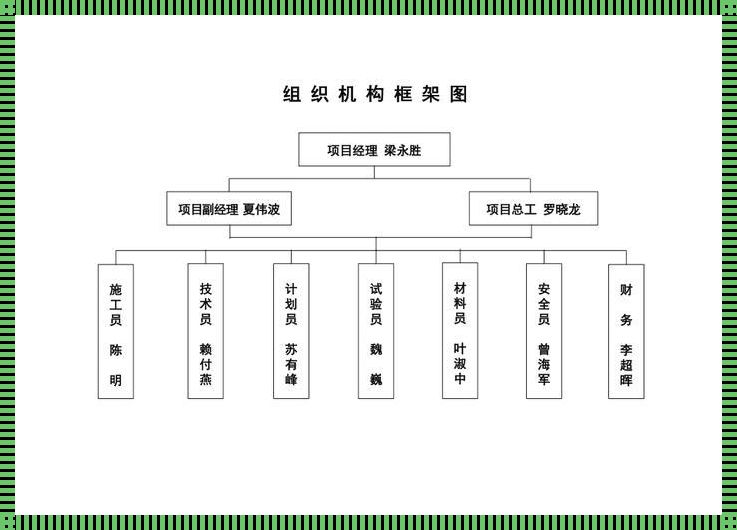 组织框架结构等级：一种深入剖析