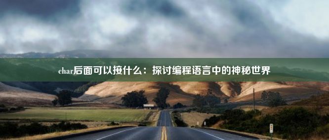 char后面可以接什么：探讨编程语言中的神秘世界