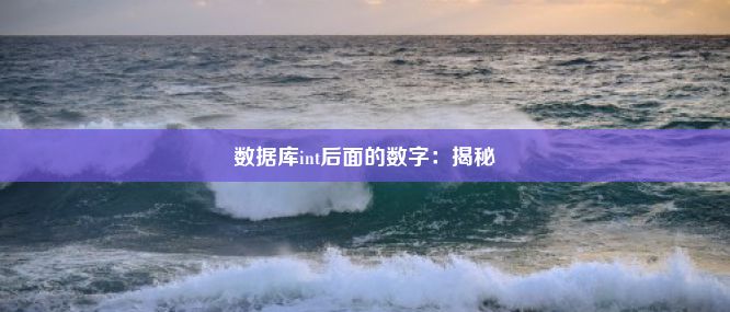 数据库int后面的数字：揭秘