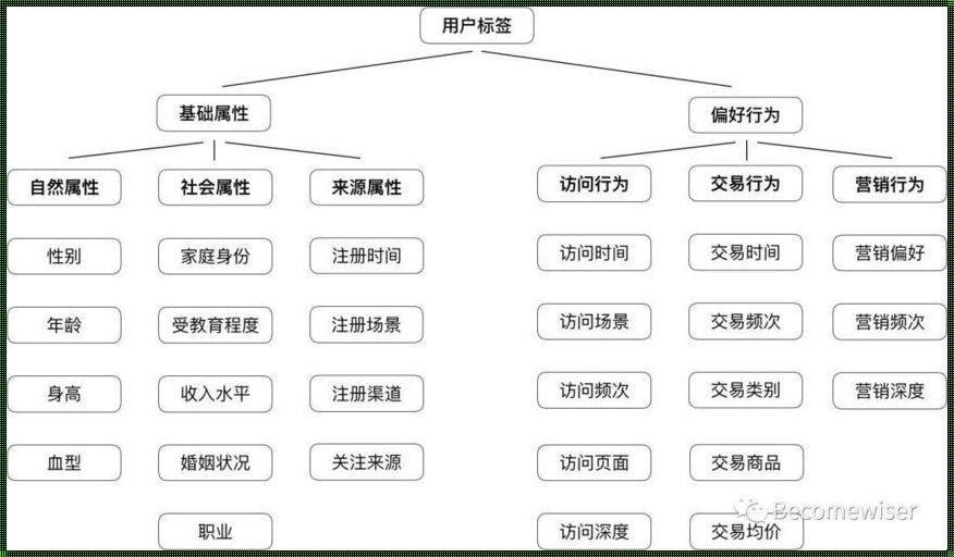 用户标签体系：揭开神秘面纱